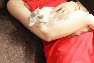 青豆客 - Una尤娜的作品，这“女王”范儿捕捉得太到位，真不想承认。